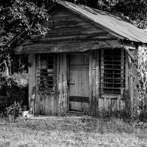 Meet your Posher, Randy